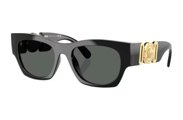 Versace Ve4479u Gb1/87 52 Erkek Güneş Gözlüğü Siyah ürün görseli 1