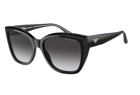 Emporio Armani Ea4198 50178g 55 Kadın Güneş Gözlüğü ürün görseli 1