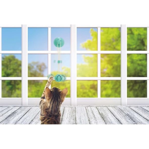 M-Pets Tampo Catnipli Ödül Hazneli Kedi Oyuncağı - Resim 3