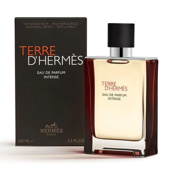 Hermès Terre d'Hermès, Eau de Parfum Intense 100ML Erkek Parfüm - 2
