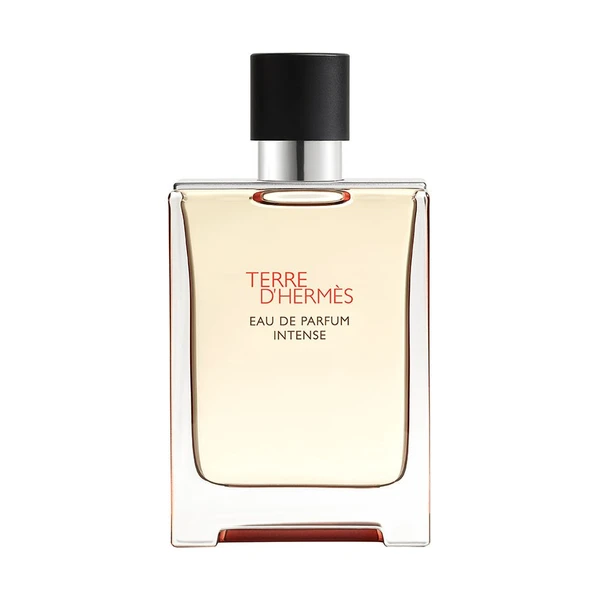Hermès Terre d'Hermès, Eau de Parfum Intense 100ML Erkek Parfüm - 1