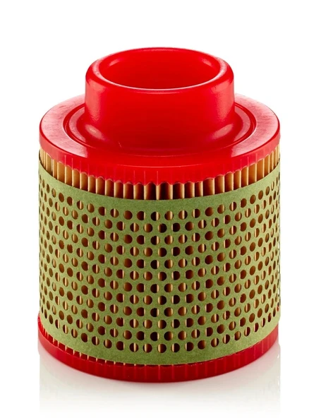 C 1131 - Hava filtresi -  MANN FILTER