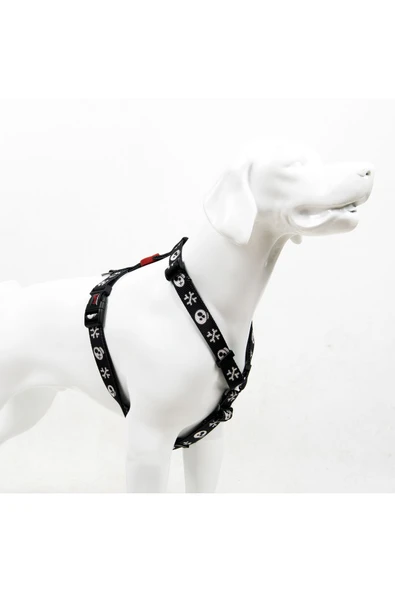 Tailpetz H-tip Boo XS Çok Küçük Irk Köpek Göğüs Tasması (Göğüs 23 cm x 38 cm) ürün görseli