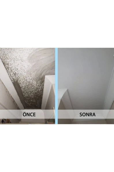 Ms 82 Nem Boyası 1 Kg - Resim 4