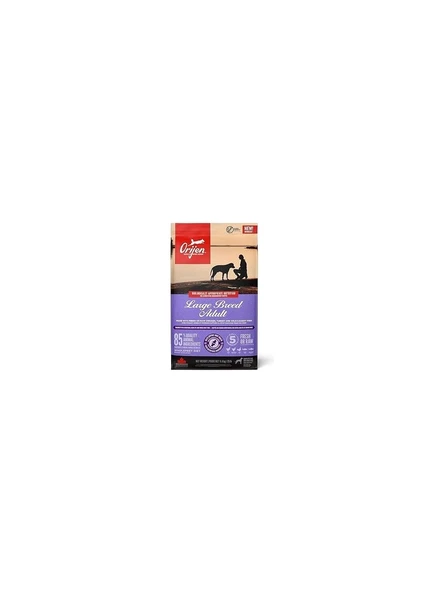 Orijen Adult Large Breed Dog 11,4 Kg - Büyük Irk Yetişkin Köpekler - 1