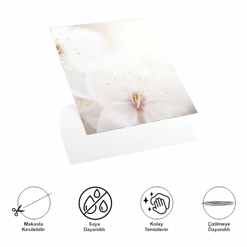 Decohandy 30x30 Cm Pvc Duvar Karosu 4'Lü Paket - Japon Çiçeği ürün görseli