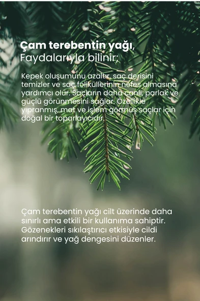 TTO THERMAL Argan Yağı 10 ml - 3