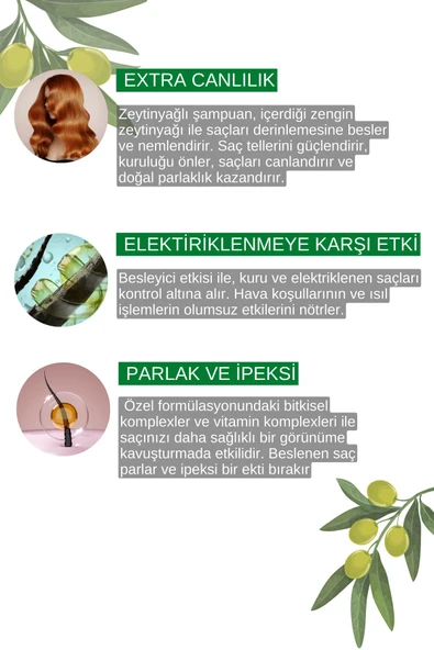 Zigavus Kuru Mat ve Cansız Saçlar İçin Zeytinyağı Ekstraklı Şampuanı 450 ml 8699349130350 - 5