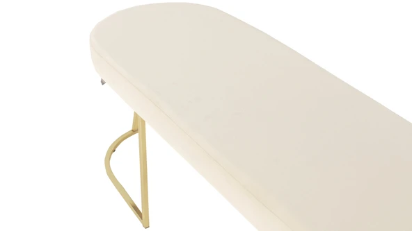 Viego Gold Smooth Bench Puf - Resim 11