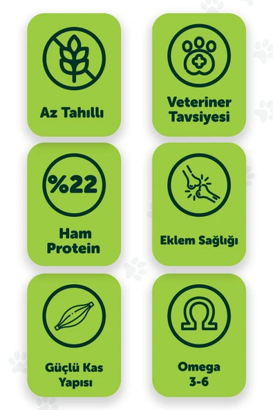 Pawgo Standard Superiority 15 Kg | Kuzu Etli | Yetişkin Köpek Maması - 2