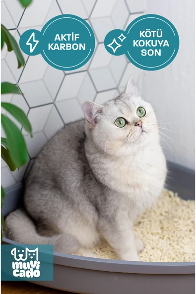 muvicado Kedi Kumu Koku Giderici Önleyici- Kedi Kumu Aktif Karbon - Kedi Kumu Tuvalet Koku Giderici Parfümsüz - 4
