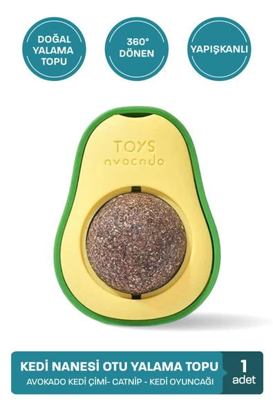 muvicado Kedi Nanesi Otu Kedi Oyun Topu Avokado Kedi Otu Çimi Catnip Yavru Kedi Oyuncakları