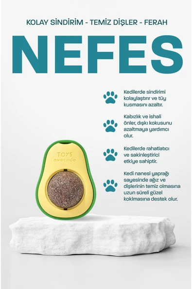 muvicado Kedi Nanesi Otu Kedi Oyun Topu Avokado Kedi Otu Çimi Catnip Yavru Kedi Oyuncakları - 2
