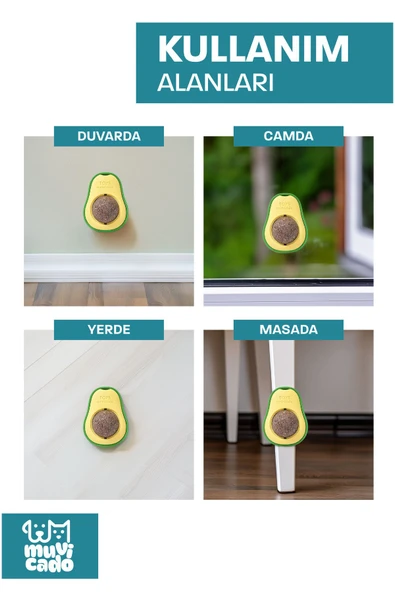 muvicado Organik Kedi Çimi Kedi Nanesi Otu Kedi Oyun Topu Avokado Kedi Otu Çimi Catnip Yavru Kedi Oyuncakları - 3