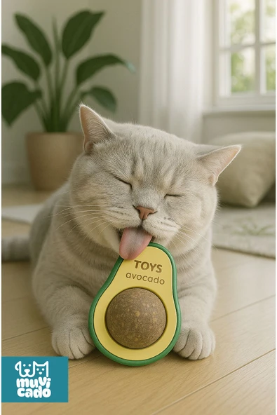 muvicado Kedi Nanesi Otu Kedi Oyun Topu Avokado Kedi Otu Çimi Catnip Yavru Kedi Oyuncakları - 4
