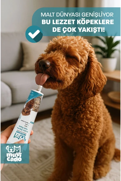 muvicado Kedi Köpek Derma Malt Biyotinli Kedi Maltı Kedi Malt Macun Kedi Tüy Malt Paste Kedi Macunu - 3