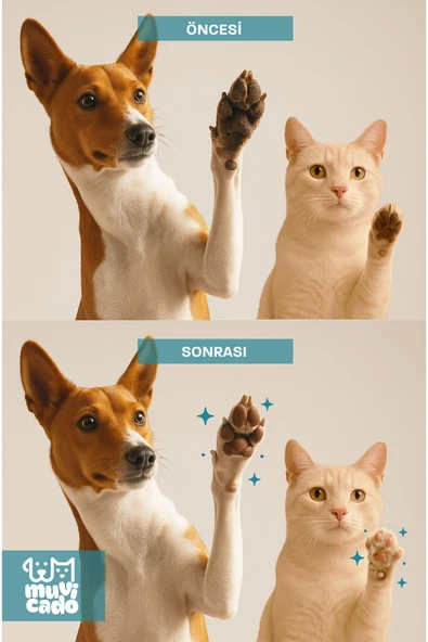 muvicado Kedi Köpek Pati Temizleme Köpüğü Pati Yıkama Jeli Hijyen Bakım Spreyi Nano Series - 3