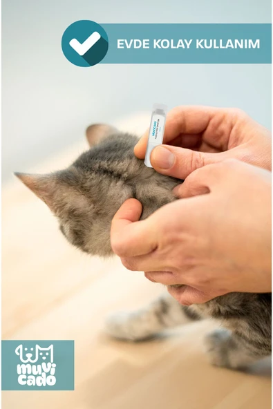 muvicado Kedi İç Dış Bitkisel Parazit İç Dış Damlası Köpek İç Dış Anti Parazit Bit Pire Kene Damla Seti - 5