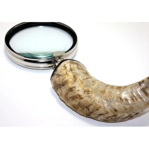 Pirinç Boynuz Saplı Büyüteç Model 1 - Resim 2