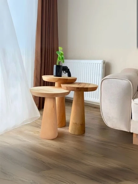 Mushroom Üçlü Zigon Sehpa - Resim 8