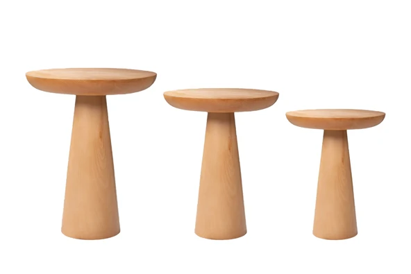 Mushroom Üçlü Zigon Sehpa - Resim 12