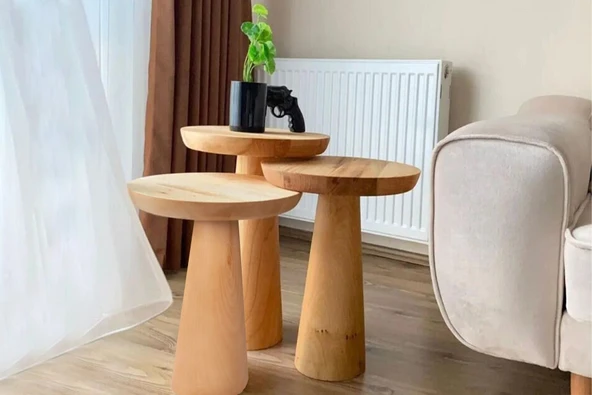 Mushroom Üçlü Zigon Sehpa - Resim 9