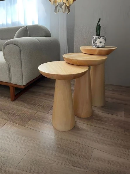 Mushroom Üçlü Zigon Sehpa - Resim 10