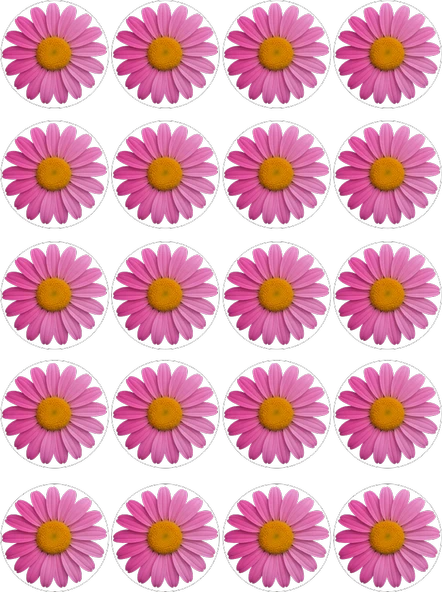 Papatya Yenilebilir Yuvarlak Kurabiye Resim Baskı ürün görseli