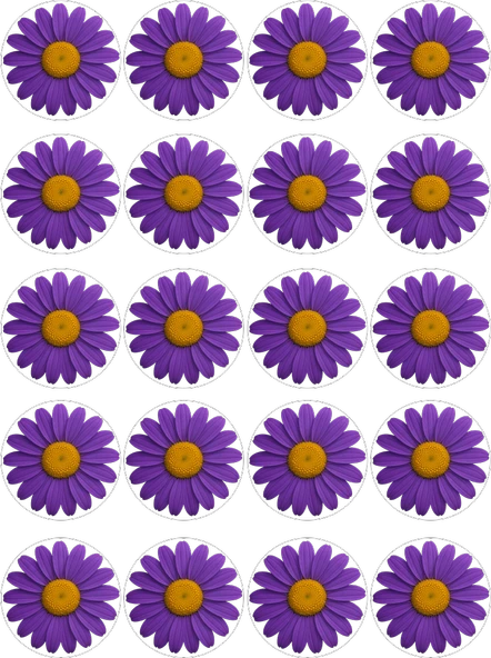 Papatya Yenilebilir Yuvarlak Kurabiye Resim Baskı ürün görseli