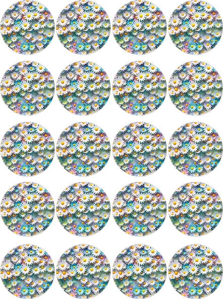 Papatya Yenilebilir Yuvarlak Kurabiye Resim Baskı ürün görseli