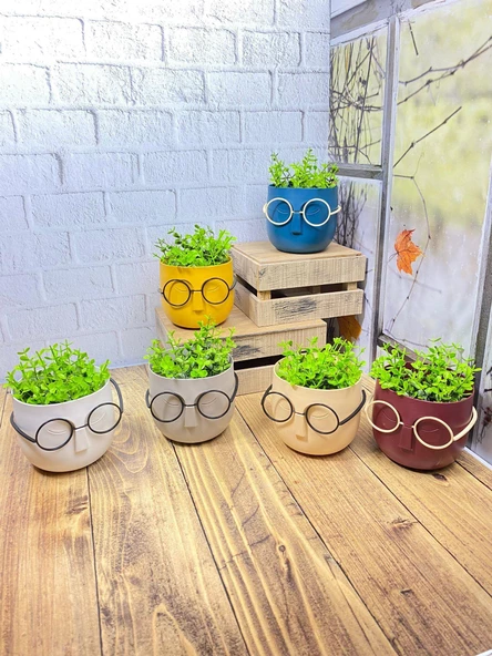 Hometarz Profesör Saksılar Yapay Çimli Sukulent Gözlüklü Saksı Bitki - 11