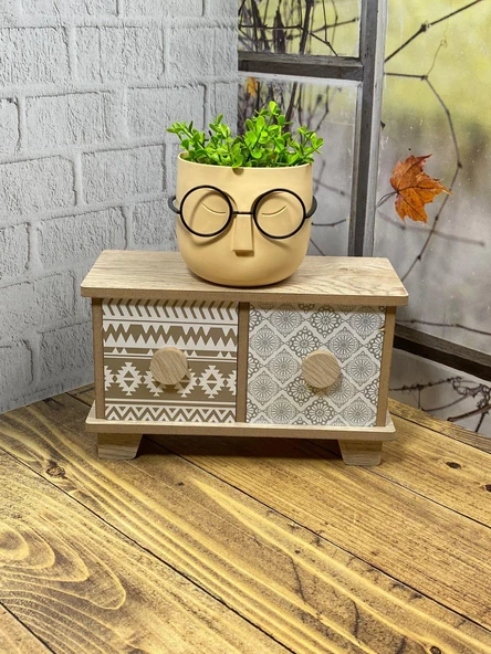 Hometarz Profesör Saksılar Yapay Çimli Sukulent Gözlüklü Saksı Bitki - Resim 12