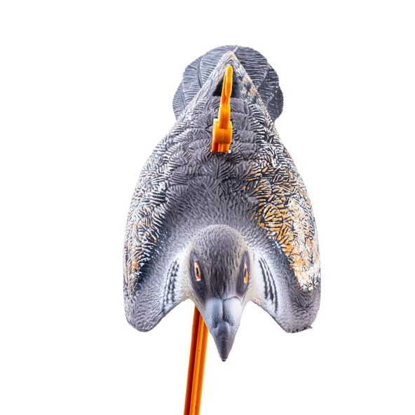 Üveyik Mühresi - Yaprak - Gerçekçi Tasarım - 3