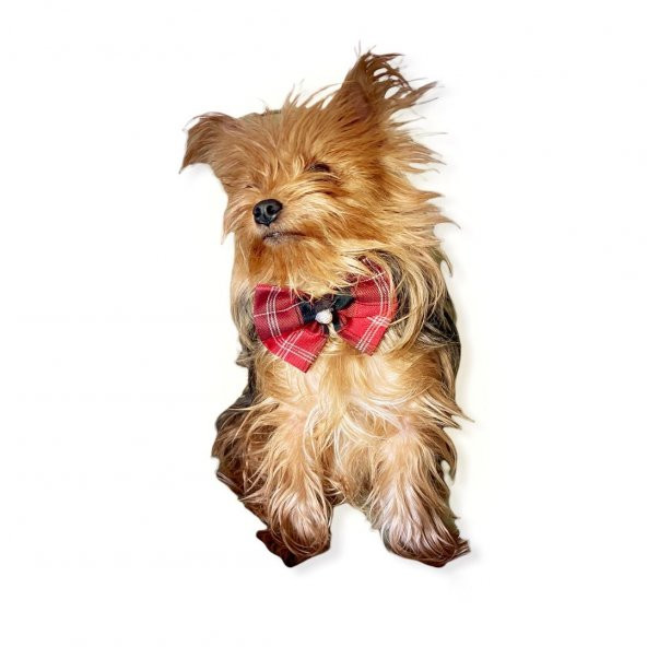 BB Ekose Black Köpek Papyonu