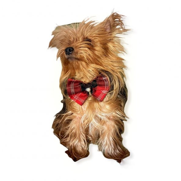 BB Ekose Black Köpek Papyonu - 2