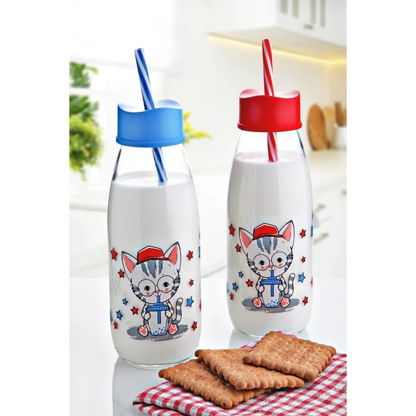 Pipetli Su Ve Süt Şişesi Cam 250 ML - 6