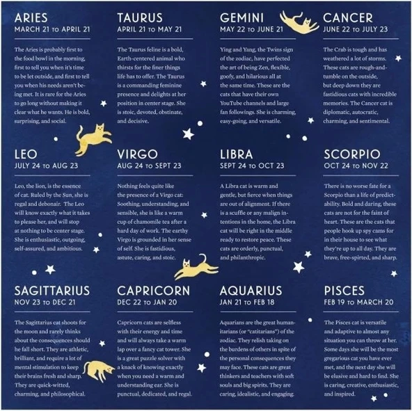 Galison Kedili Burç Puzzle - Resim 8