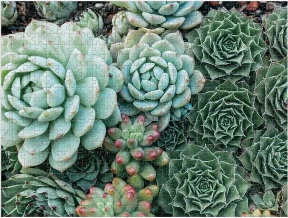 Galison Dolgun Bahçe Puzzle - Resim 2