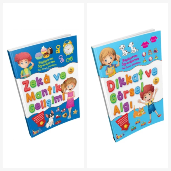 Bıcırık Zeka Ve Mantık Gelişimi&dikkat Ve Görsel Algı