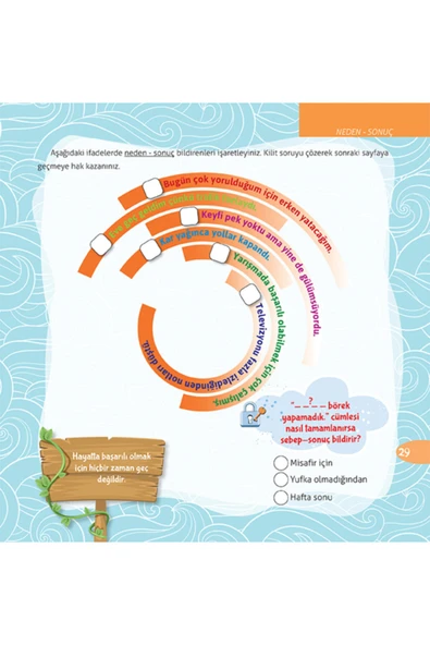 Koza Yay. Elma Çekirdeği 4 - 6