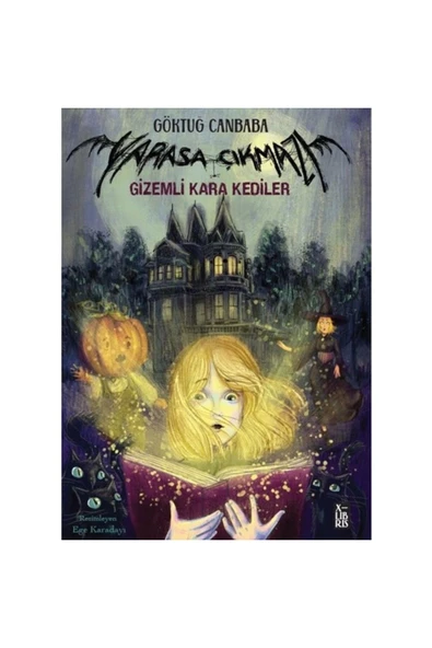X Yarasa Çıkmazı 2 Gizemli Kara Kediler Göktuğ Canbaba Xlıbrıs ürün görseli 1