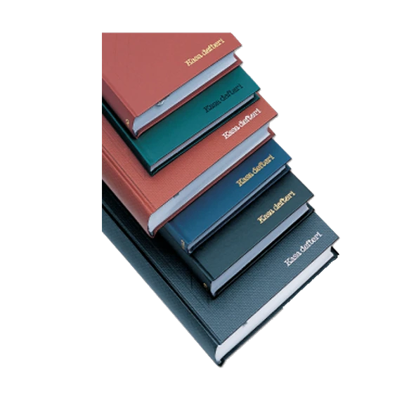 Bayındır Kasa Defteri Ciltli 160 Yp 20x28