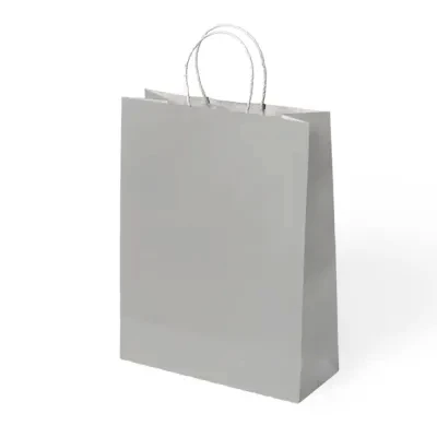 Kika Büküm Saplı Çanta 31X12X41 Gümüş - 1