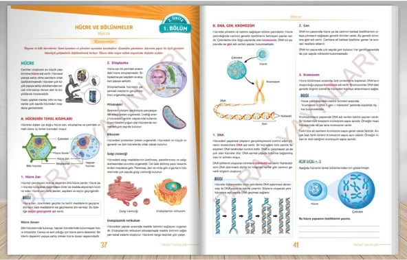 Paraf İnteraktif 7. Sınıf İnteraktif Fen Bilimleri Soru Kütüphanesi - 4