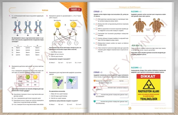 Paraf 8. Sınıf İnteraktif Fen Bilimleri Soru Kütüphanesi - Resim 3