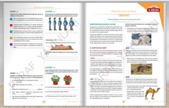 Paraf 8. Sınıf İnteraktif Fen Bilimleri Soru Kütüphanesi - Resim 4