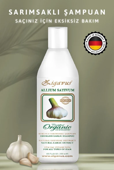 Zigavus Klasik Sarımsaklı Saç Dökülmesine Karşı Şampuan 3x250 ml - 2