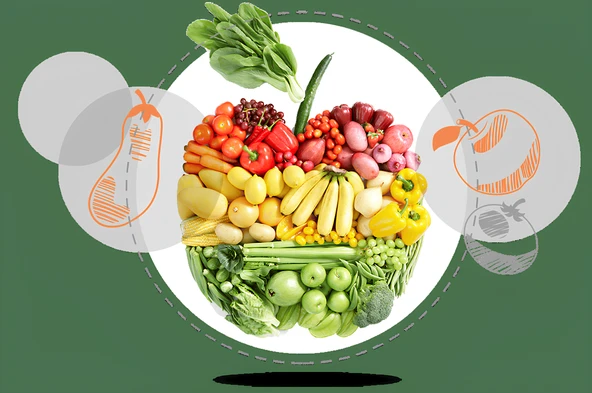 GÜBRETAŞ 20.20.0 + ME - 5 KG - 2