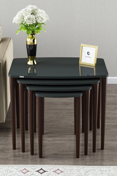 Alyona Serisi Mdf Lake Boyalı Tabla Gürgen Ayaklı 4 Lü Zigon Sehpa Takımı Çay Sehpası Servis Sehpası Ceviz - 2