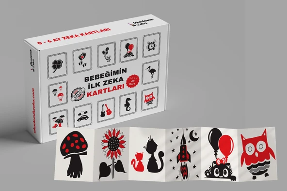 2 Yaş Etkinlik Seti, 0-6 Ay, 0-12 Ay, Hayvanlar, Meyveler Zeka Kartları - 3